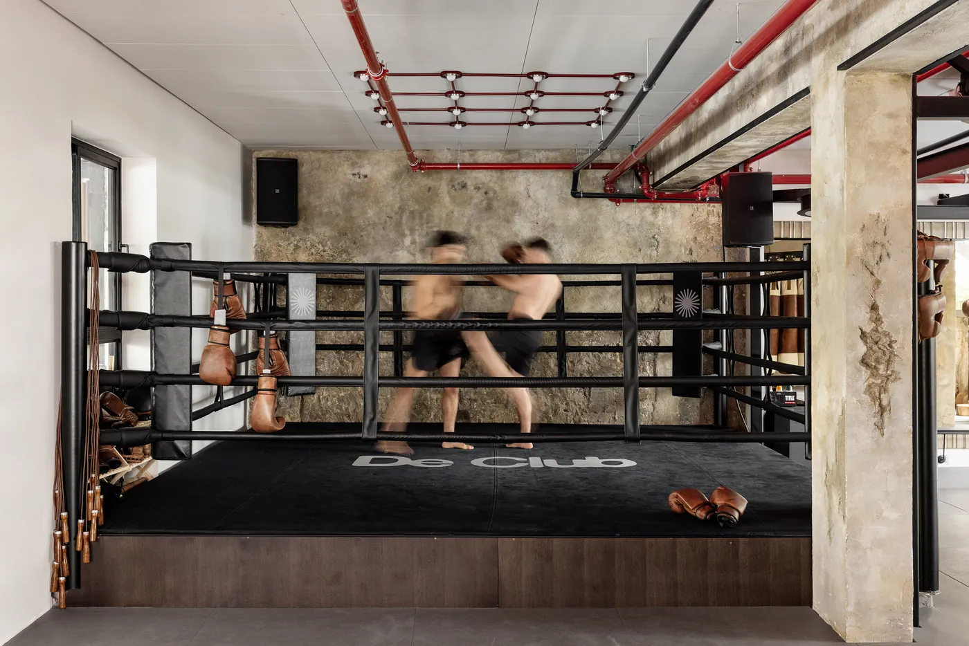 VUCA boxing ring